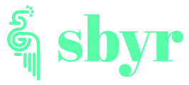 Logo de Sbyr, agence web et SEO à La Rochelle